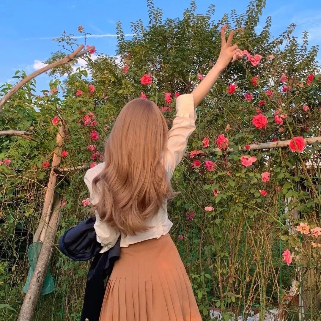 希望之旅2017海报